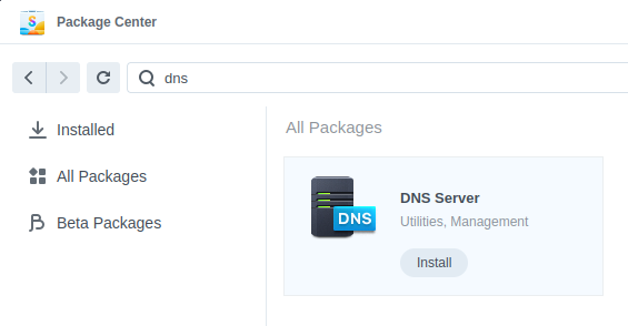 ./pic/dns001.png